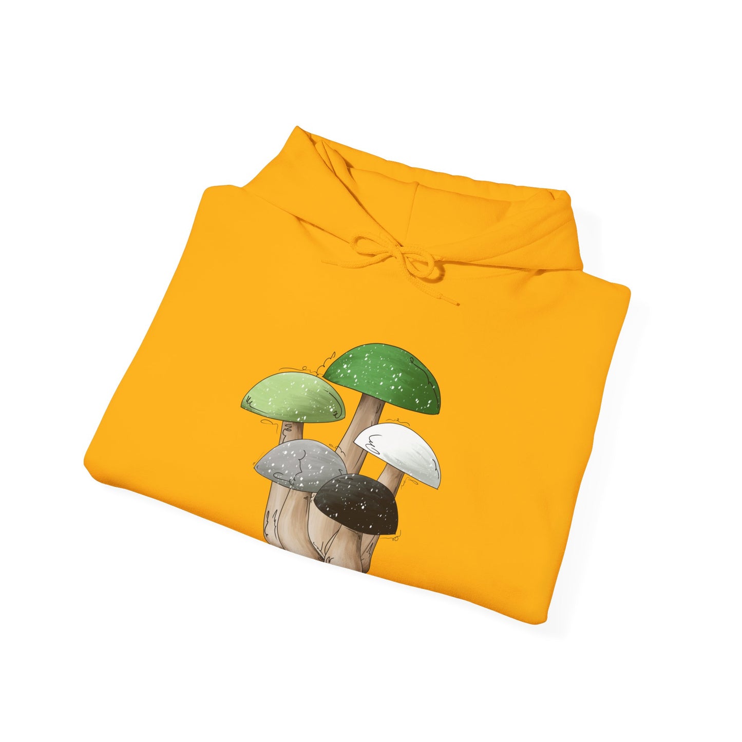 Aromantic Pride Flag Mushrooms - Adult Unisex Hoodie