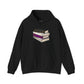 Demisexual Pride Flag Old Books - Adult Unisex Hoodie