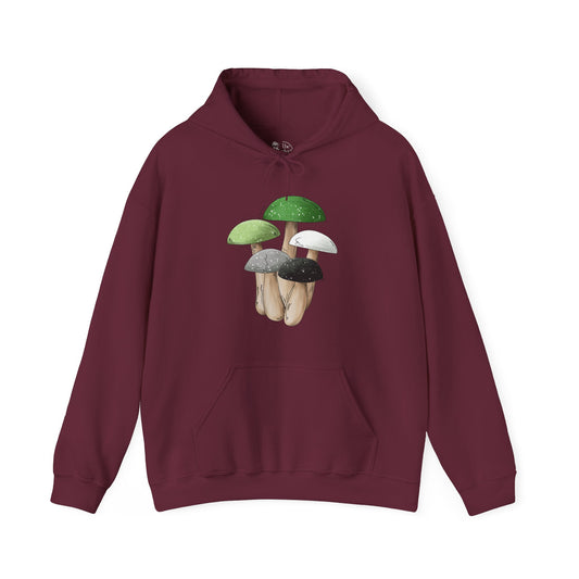 Aromantic Pride Flag Mushrooms - Adult Unisex Hoodie