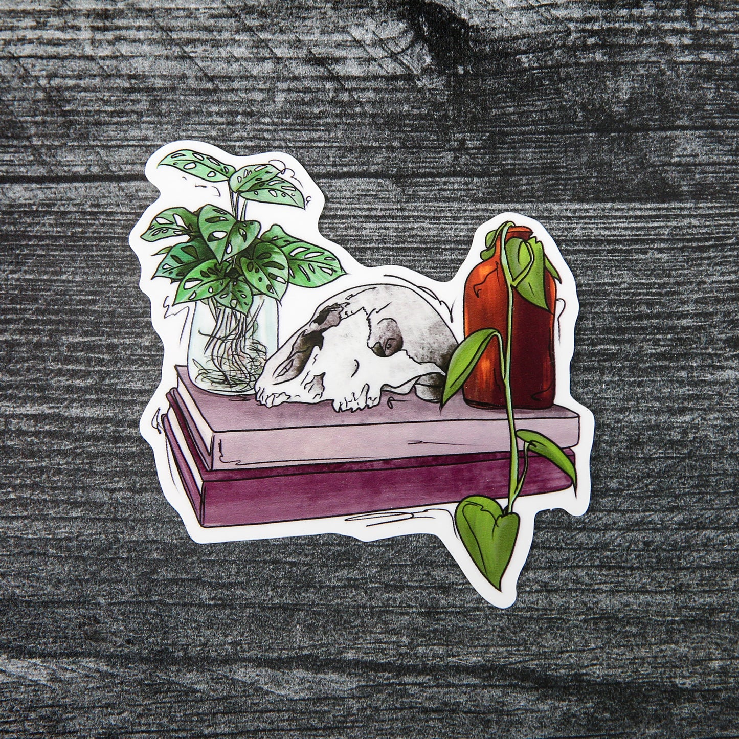 Skull, Books and Plants - Sticker