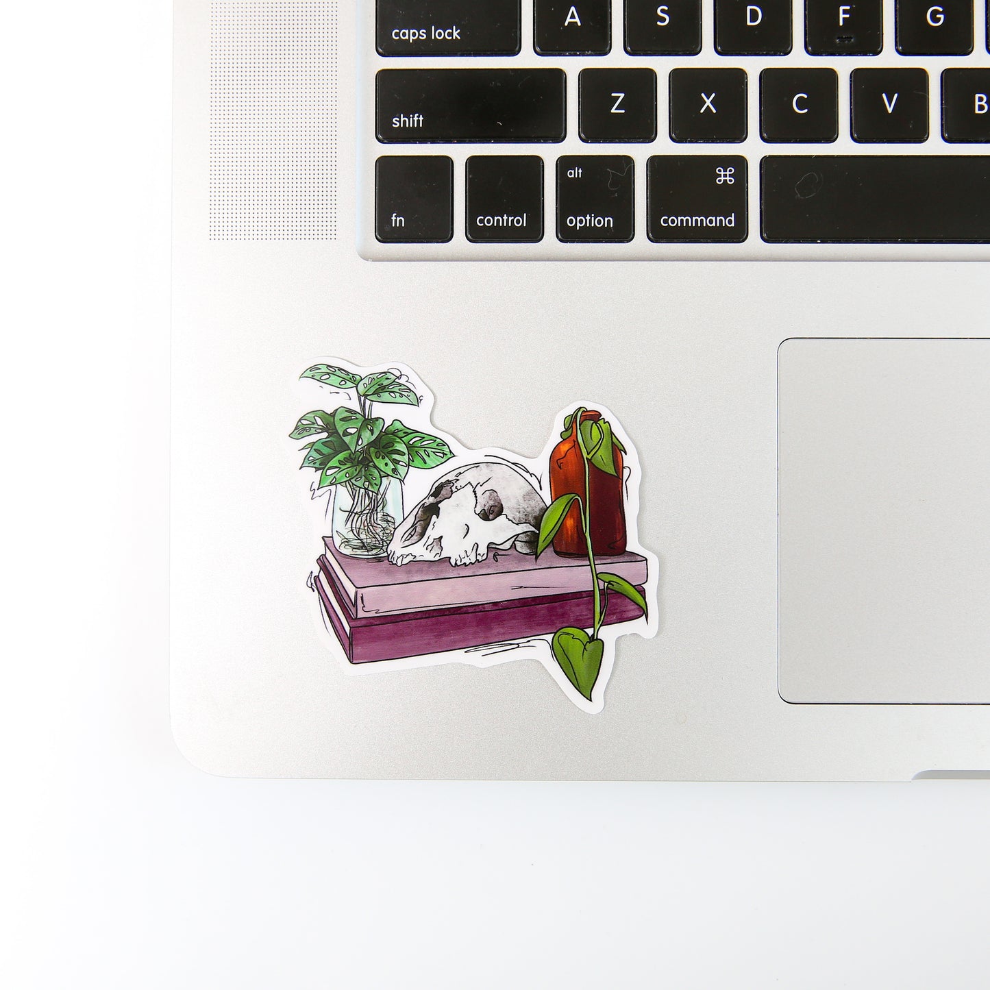 Skull, Books and Plants - Sticker